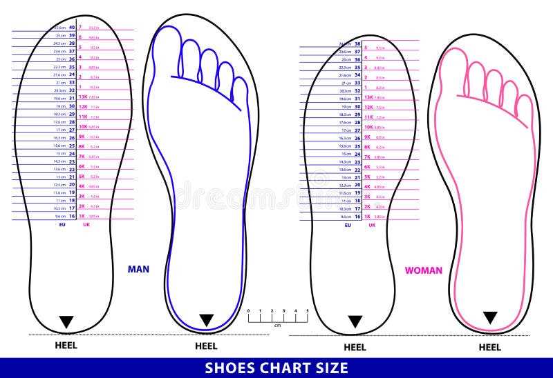 printable foot sizer