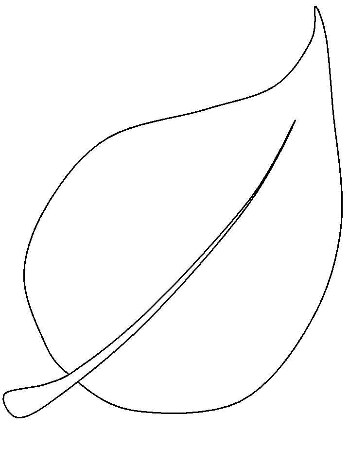 printable leaf outline