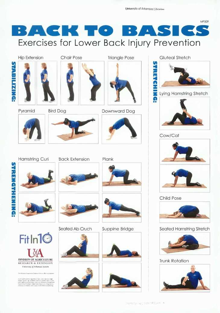 printable lower back stretches