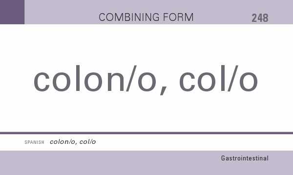 printable medical terminology flash cards