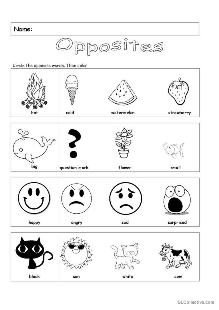 printable opposites worksheets for preschool