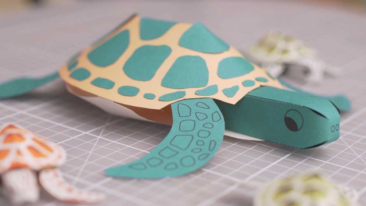 printable paper turtle craft