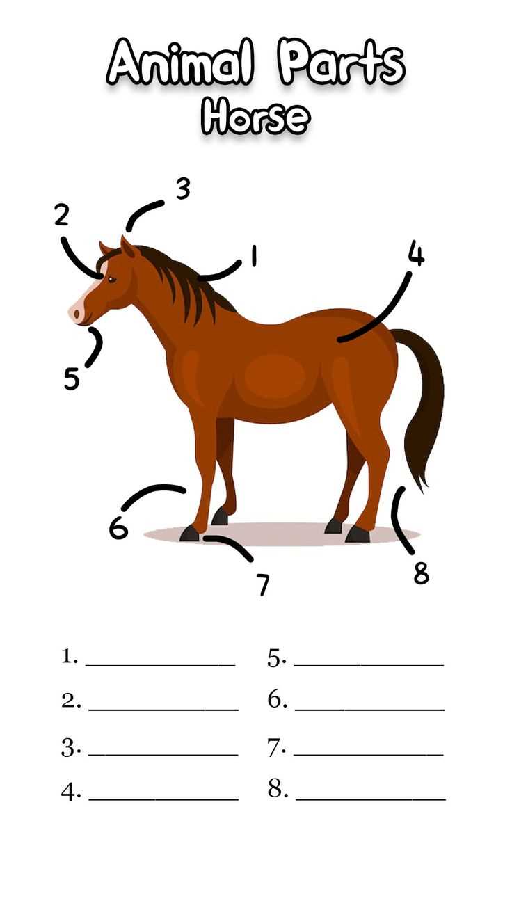 printable parts of a horse