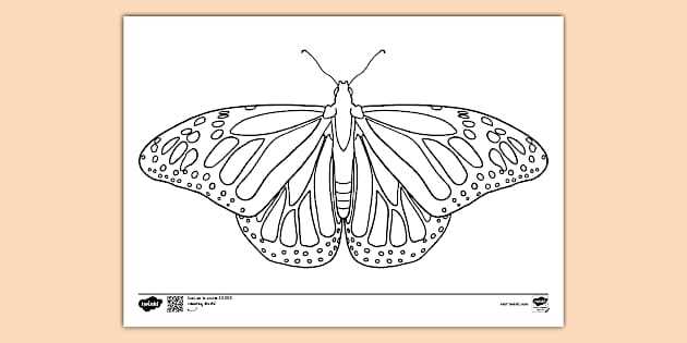 printable pics of butterflies