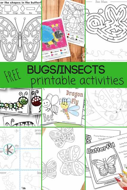 printable pictures of bugs and insects