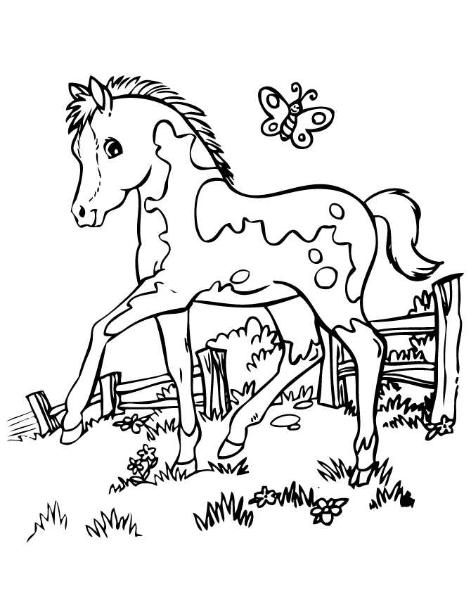 printable pictures of horses to color