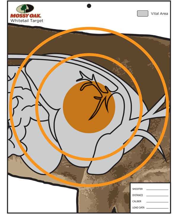 printable rifle targets