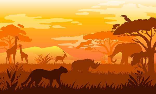 printable safari background