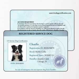 printable service dog certificate