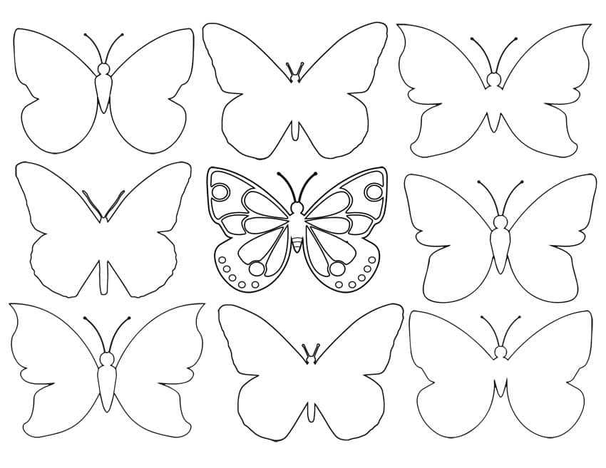 printable simple butterfly outline