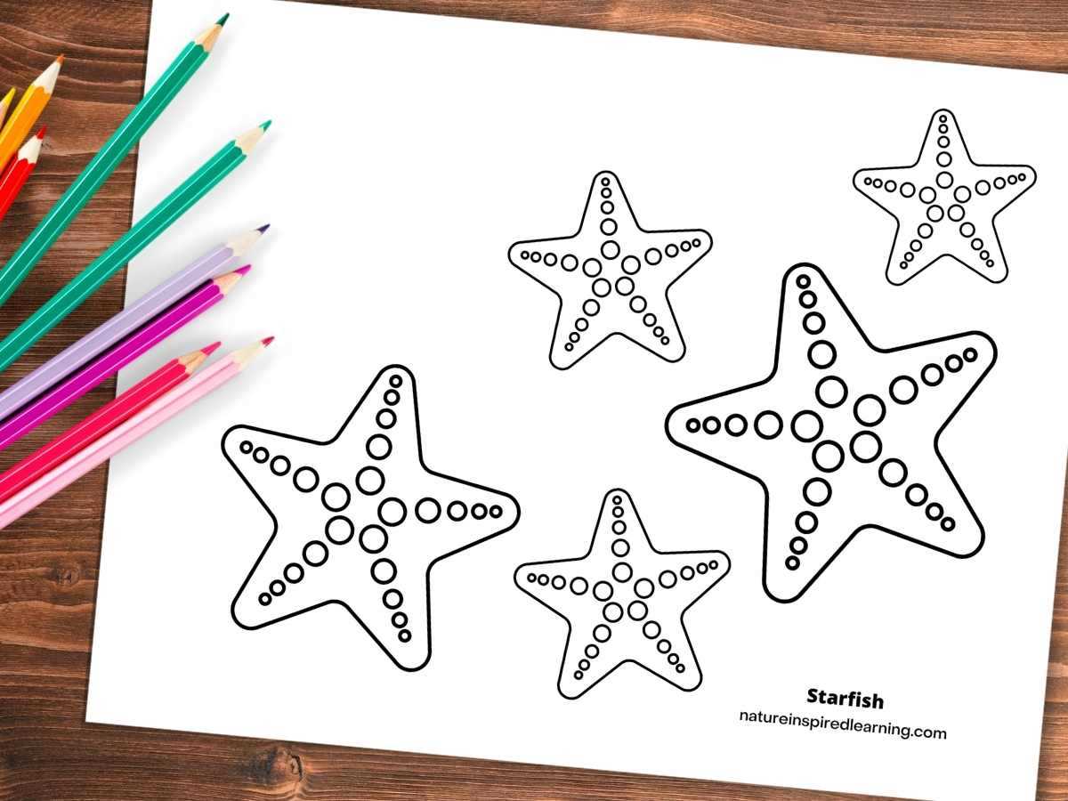 printable starfish coloring page