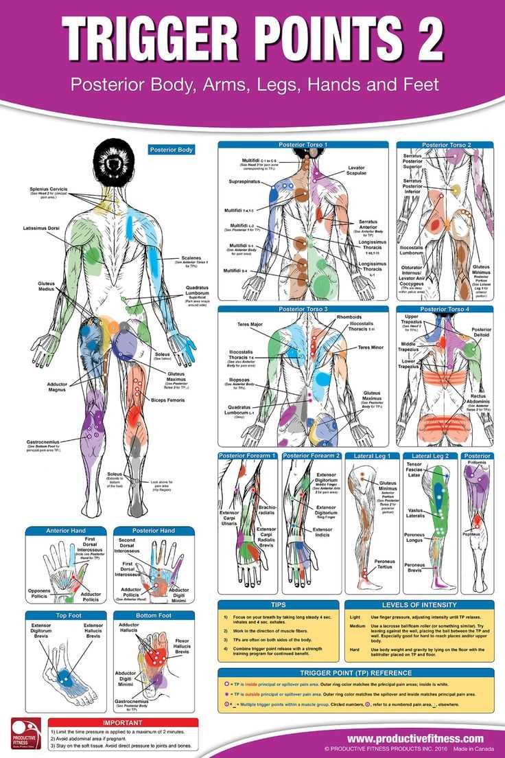 printable trigger points chart