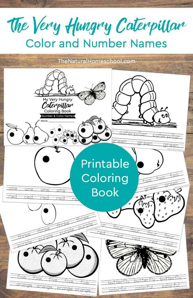 printable very hungry caterpillar