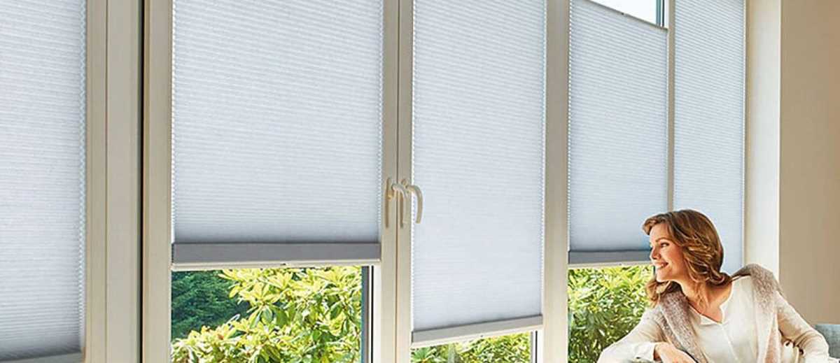 printable window shades