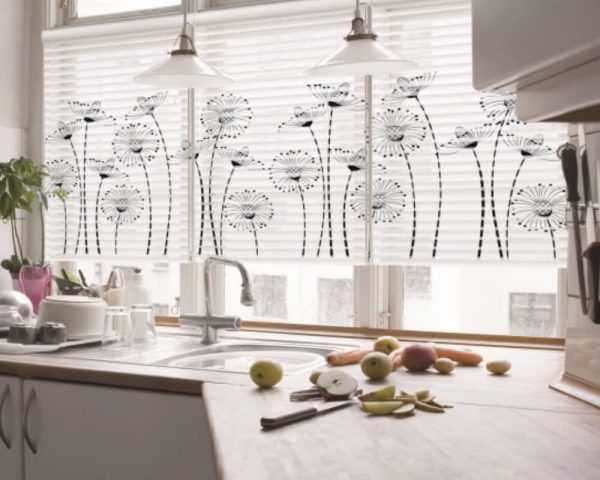 printable window shades