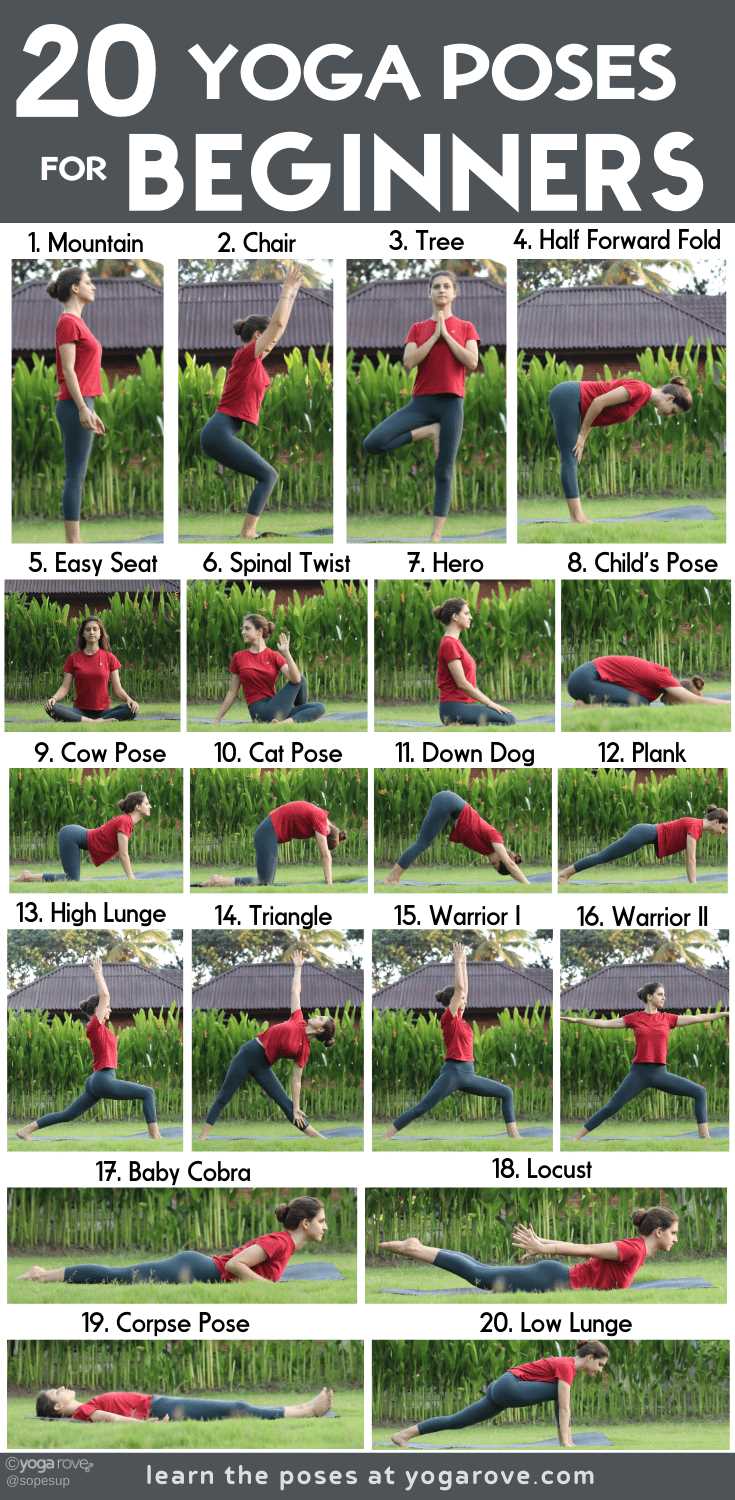 printable yoga for seniors