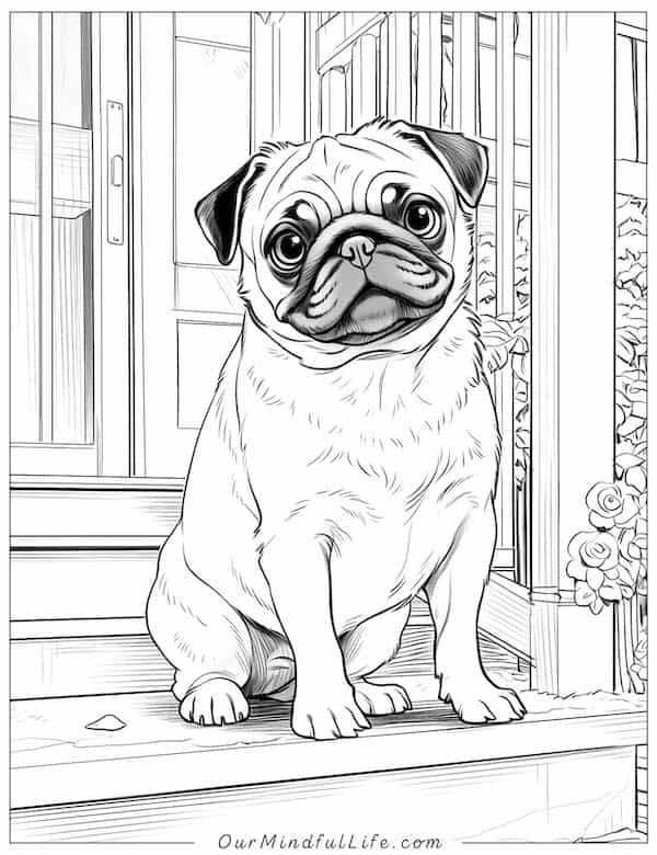 pug printable coloring pages