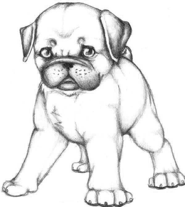 pug printable coloring pages