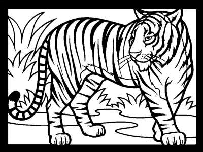 tiger printable coloring pages