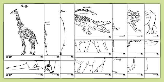 zoo animal coloring pages printable