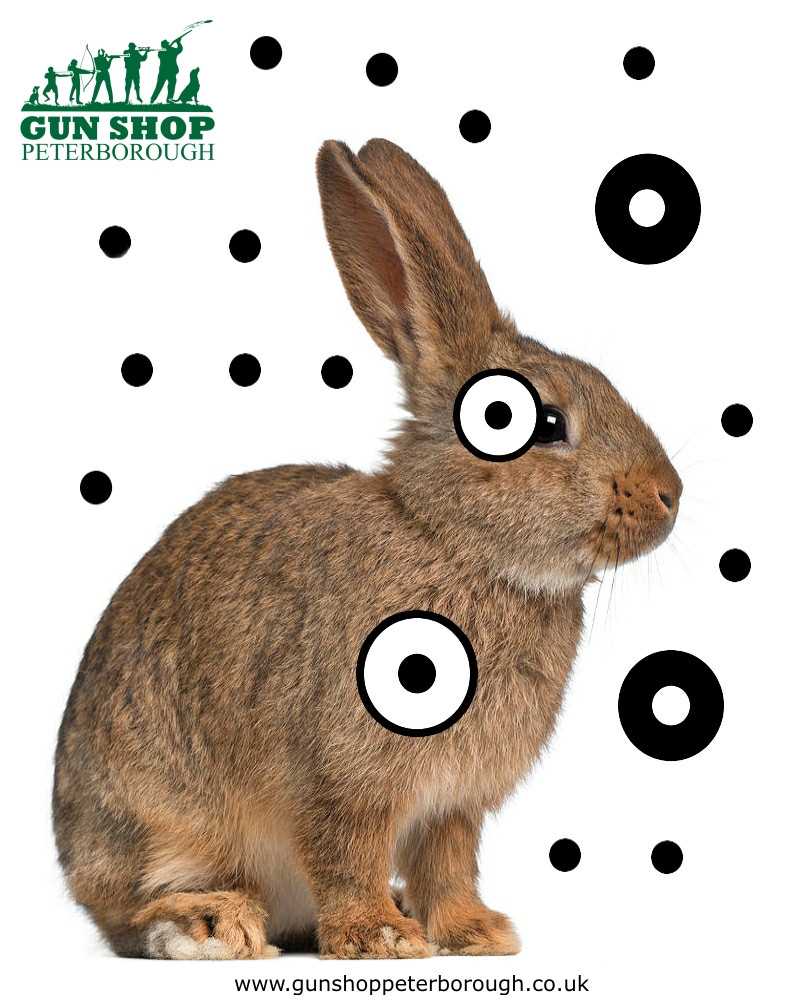 animal targets printable