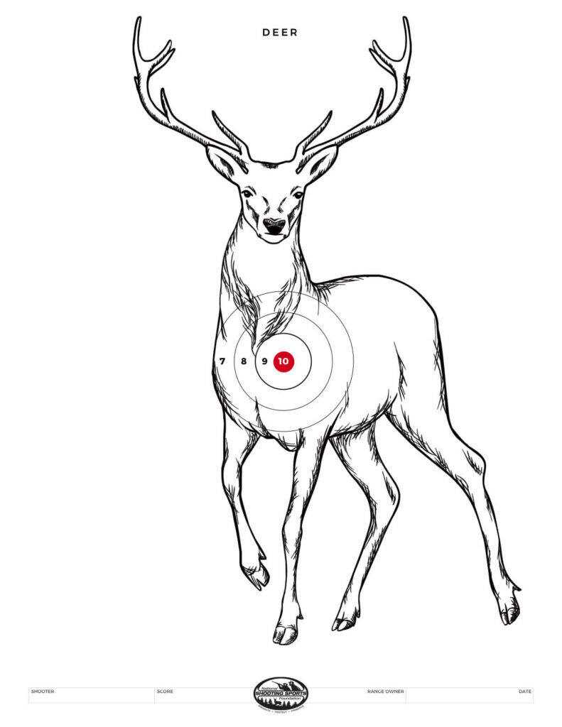 animal targets printable