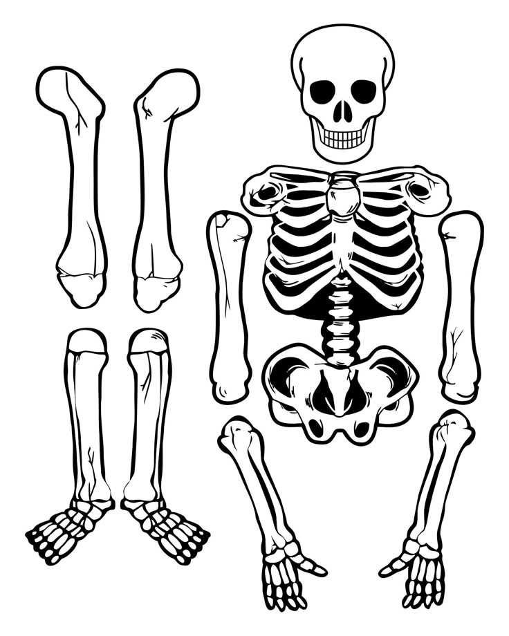 printable cut out skeleton
