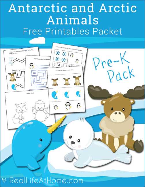 arctic animals printables