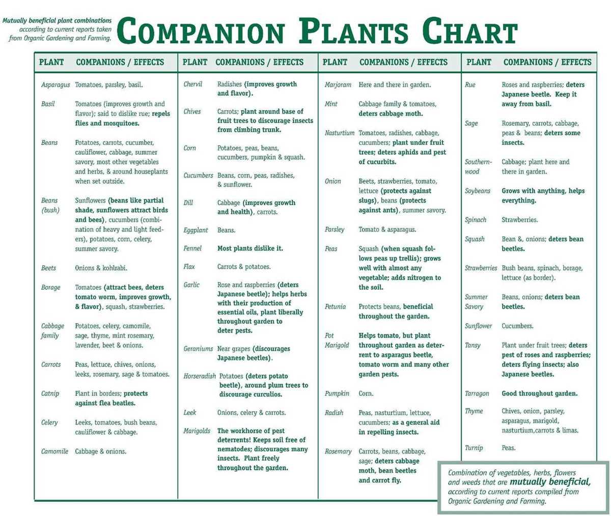 printable companion gardening chart