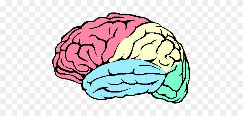 brain diagram printable