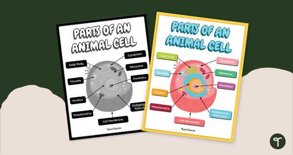 printable animal cell diagram