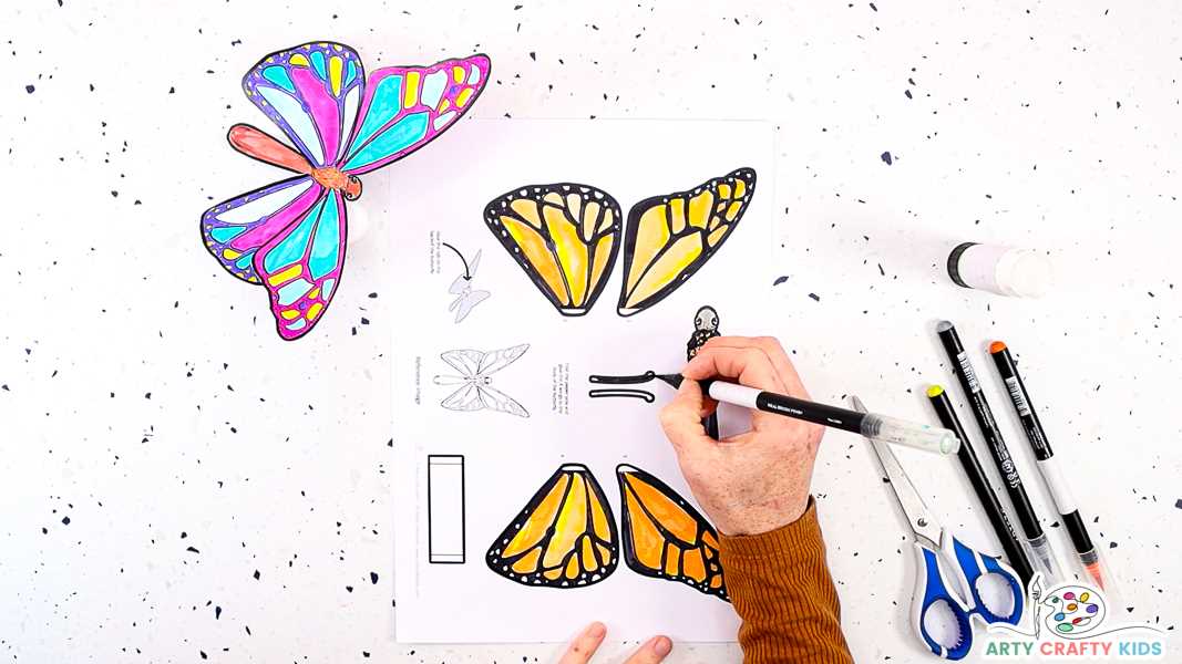 butterfly printable colored