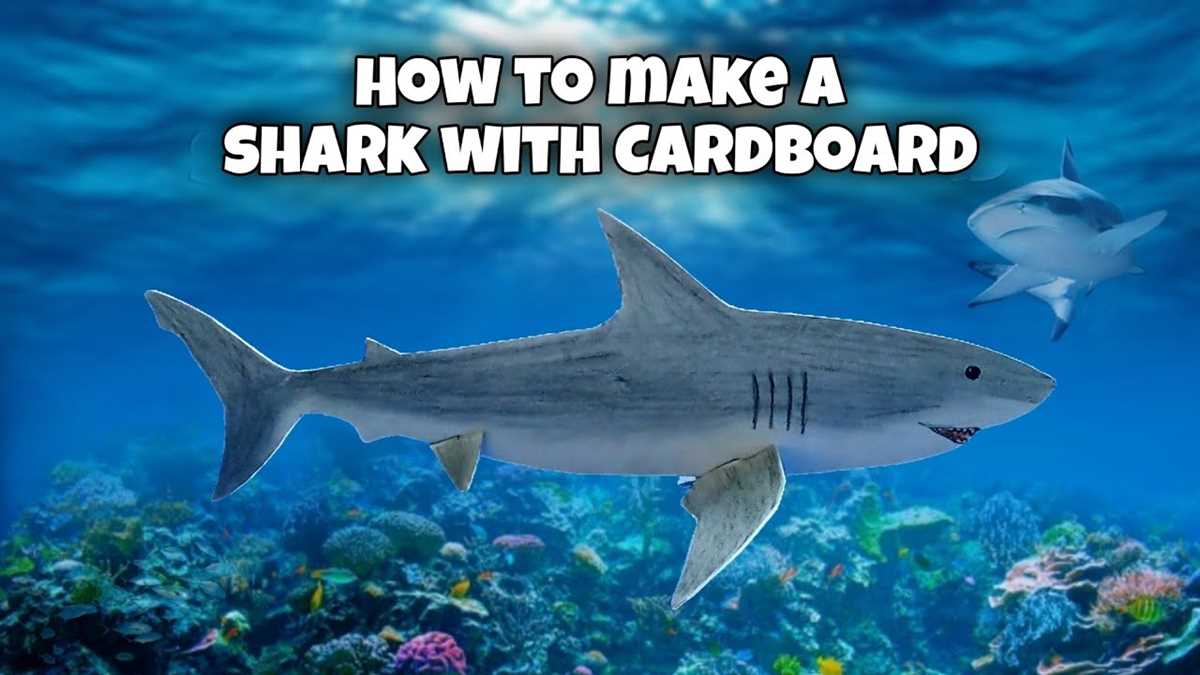 cardboard shark template printable