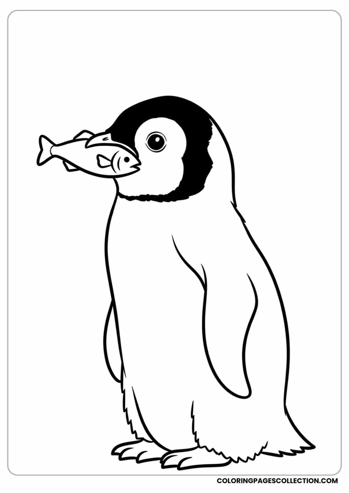 penguin printable coloring pages