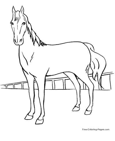 coloring pages horses printable