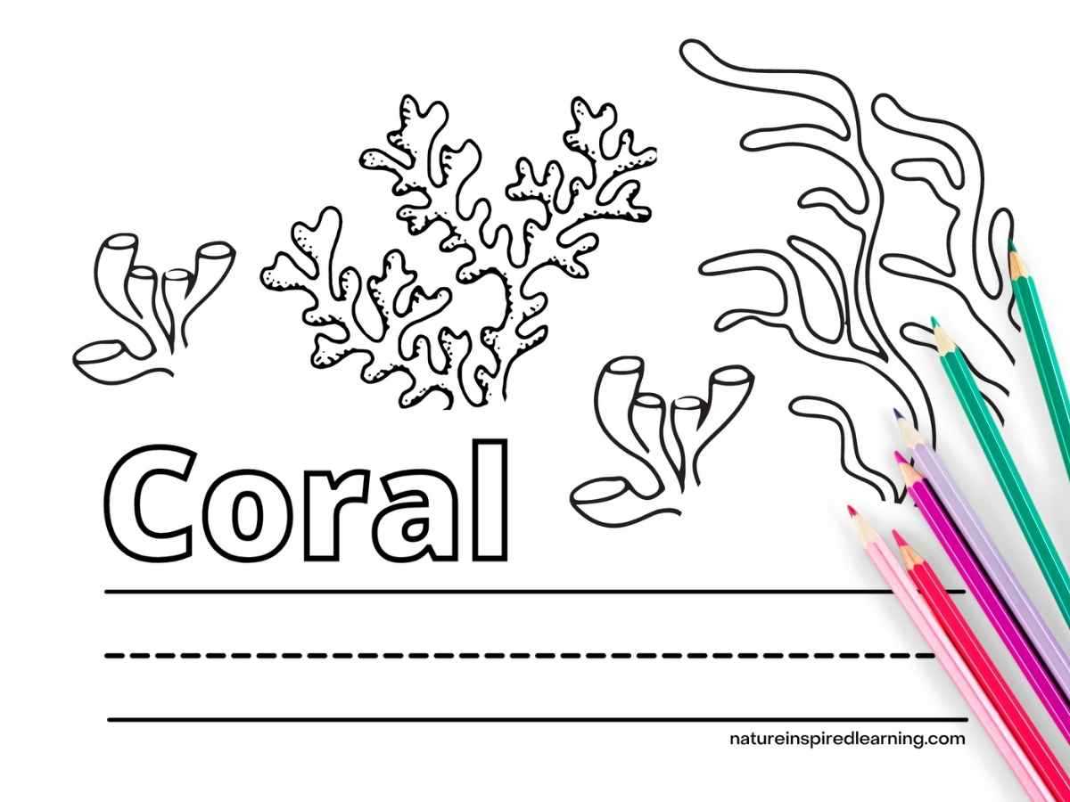 coral reef printable