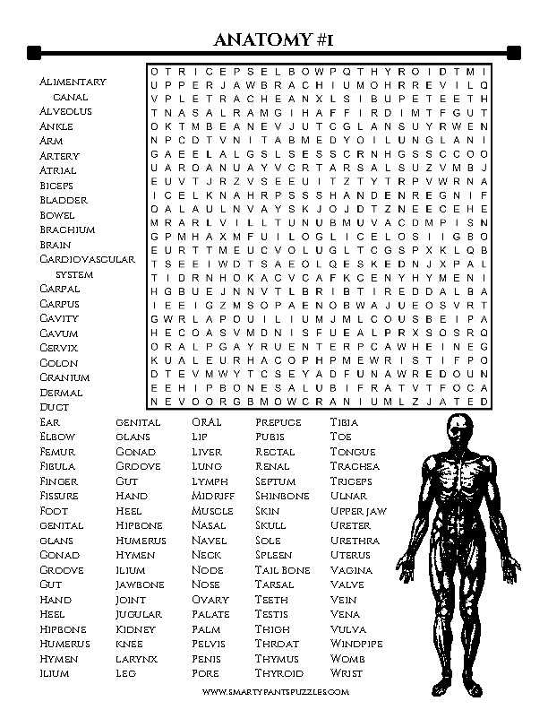 word search printable for adults