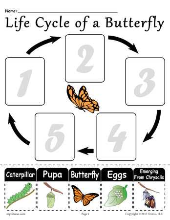 free printable kindergarten science worksheets
