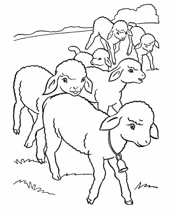 sheep coloring page printable