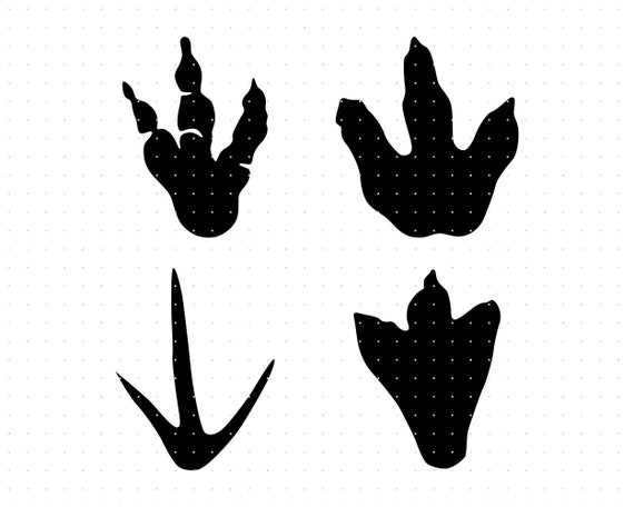 dinosaur feet printable
