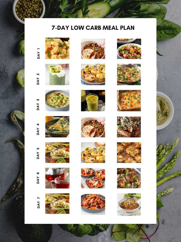 dr oz rapid weight loss plan printable
