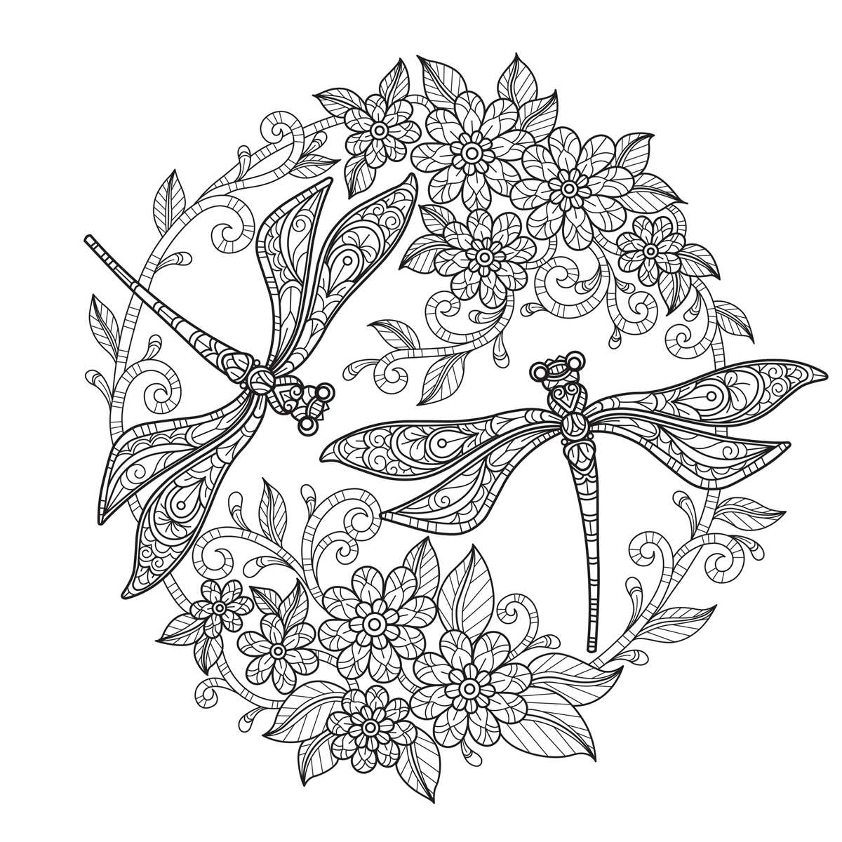 dragonfly coloring pages printable