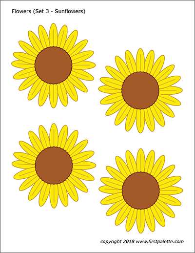 color flower printable