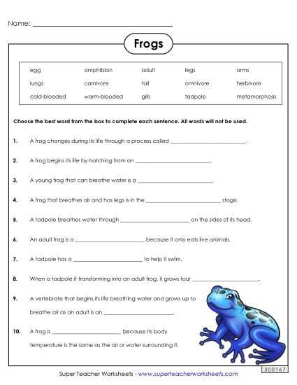 frog life cycle printable