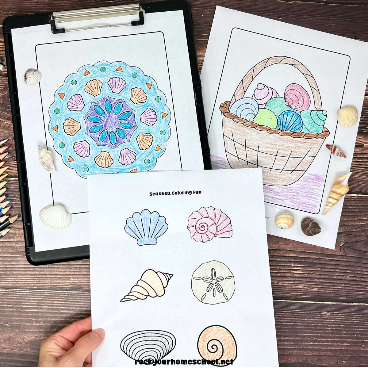 free printable seashell coloring pages