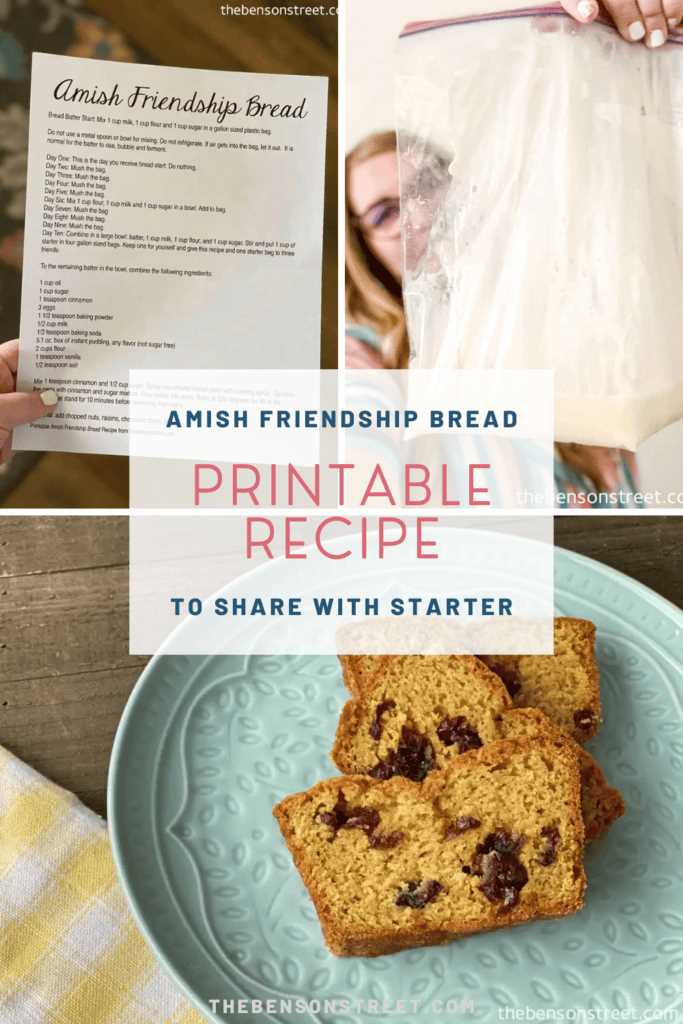 printable 10 day amish recipe amish friendship bread instructions