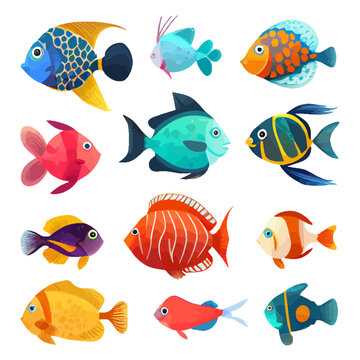 fish pictures printable