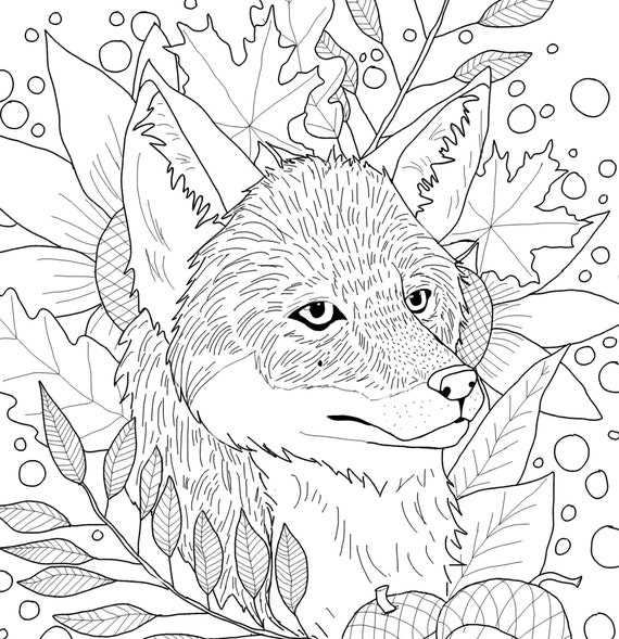 fox printable coloring pages