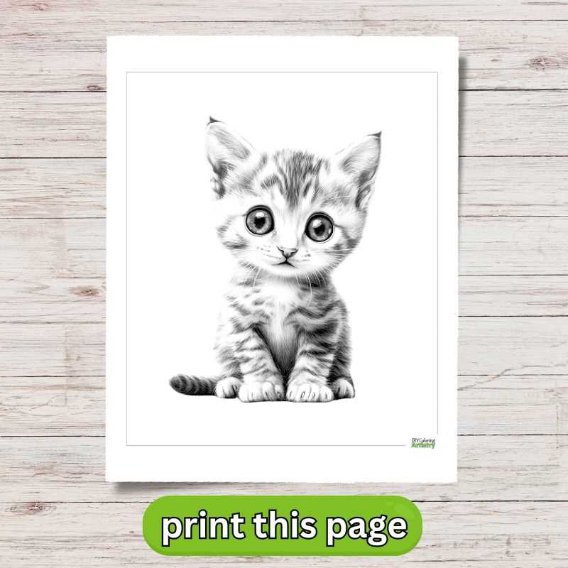 kitten coloring sheets printable