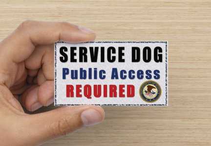 free printable ada service dog card